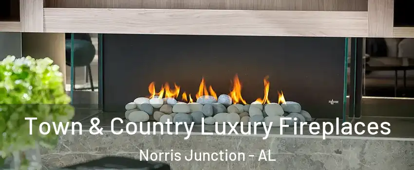Town & Country Luxury Fireplaces Norris Junction - AL