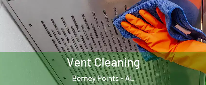 Vent Cleaning Berney Points - AL
