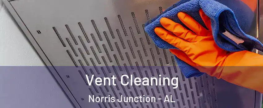 Vent Cleaning Norris Junction - AL