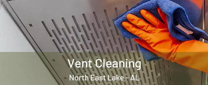 Vent Cleaning North East Lake - AL