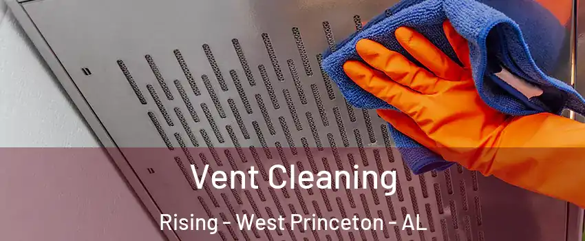 Vent Cleaning Rising - West Princeton - AL
