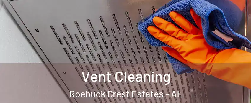 Vent Cleaning Roebuck Crest Estates - AL