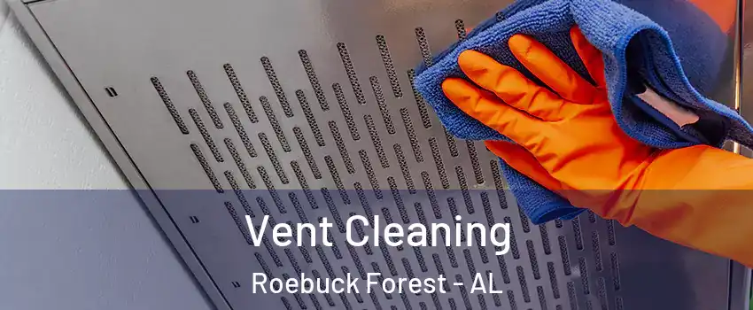 Vent Cleaning Roebuck Forest - AL
