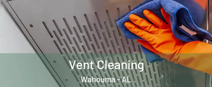 Vent Cleaning Wahouma - AL