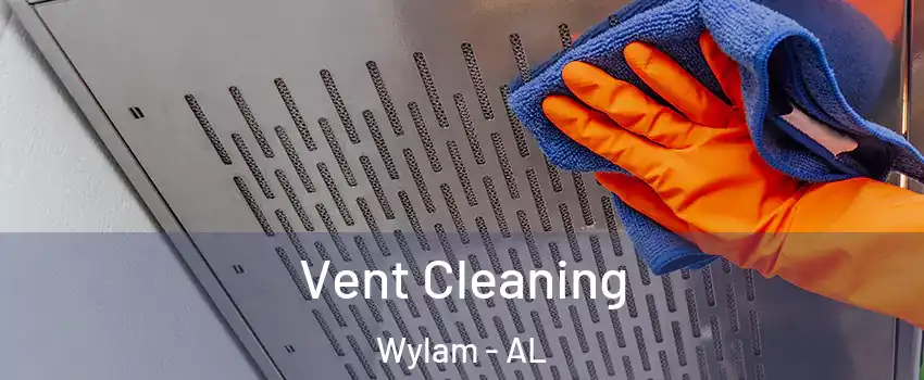 Vent Cleaning Wylam - AL