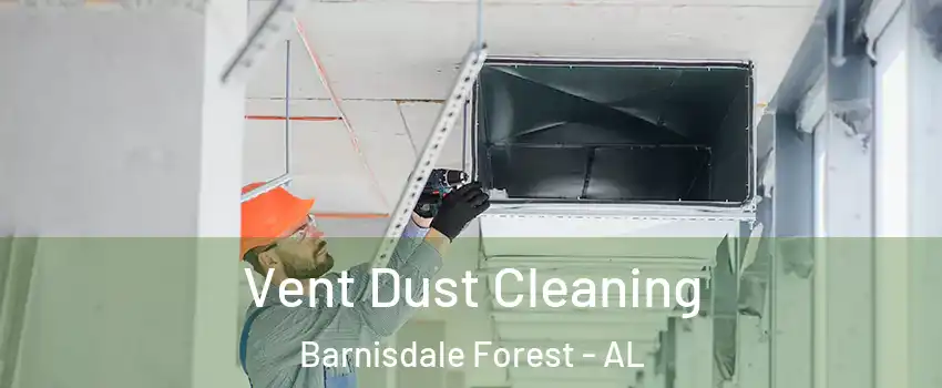 Vent Dust Cleaning Barnisdale Forest - AL