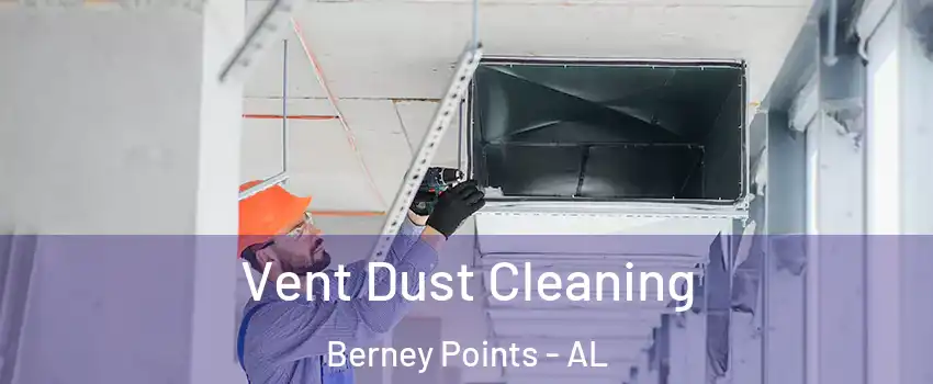 Vent Dust Cleaning Berney Points - AL