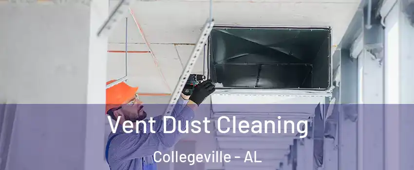 Vent Dust Cleaning Collegeville - AL