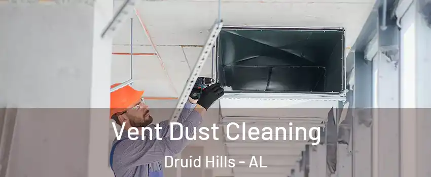 Vent Dust Cleaning Druid Hills - AL