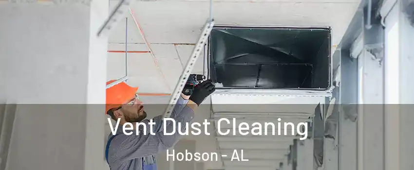 Vent Dust Cleaning Hobson - AL