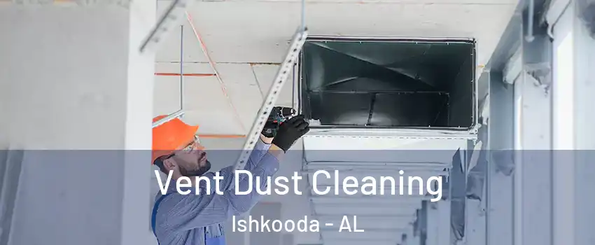 Vent Dust Cleaning Ishkooda - AL