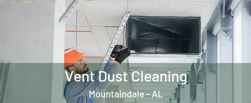 Vent Dust Cleaning Mountaindale - AL