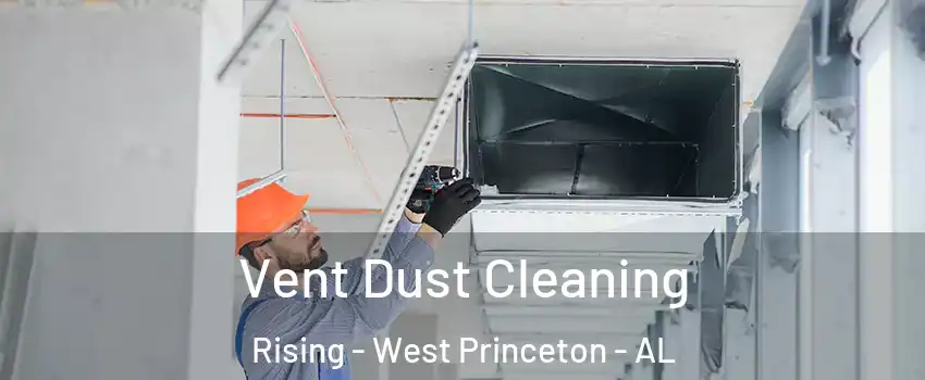 Vent Dust Cleaning Rising - West Princeton - AL