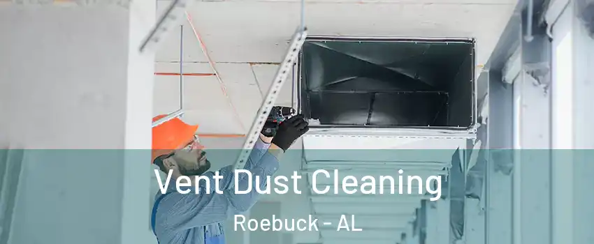 Vent Dust Cleaning Roebuck - AL