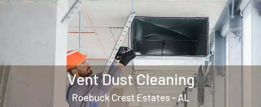 Vent Dust Cleaning Roebuck Crest Estates - AL