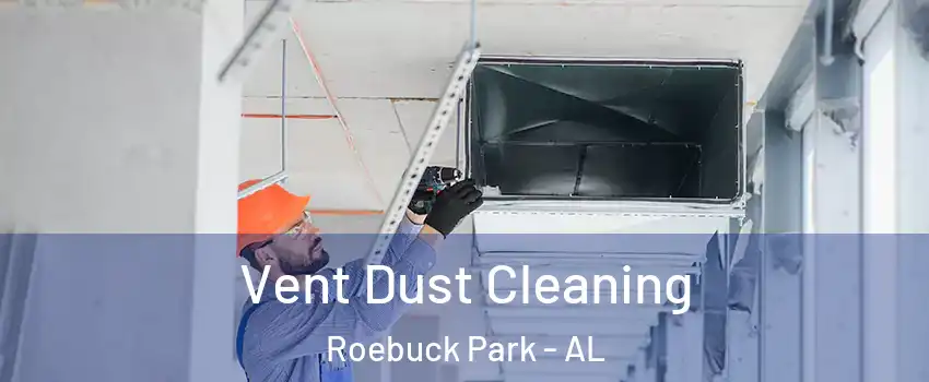 Vent Dust Cleaning Roebuck Park - AL
