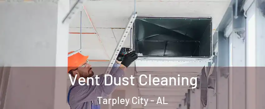 Vent Dust Cleaning Tarpley City - AL