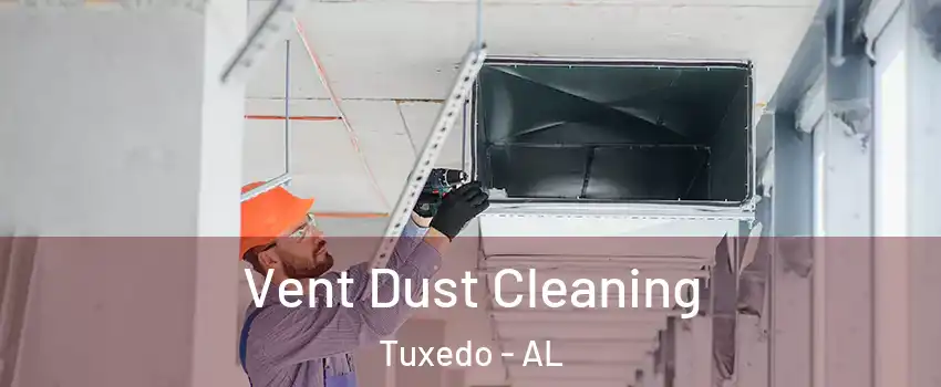 Vent Dust Cleaning Tuxedo - AL