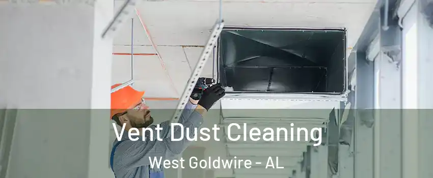 Vent Dust Cleaning West Goldwire - AL