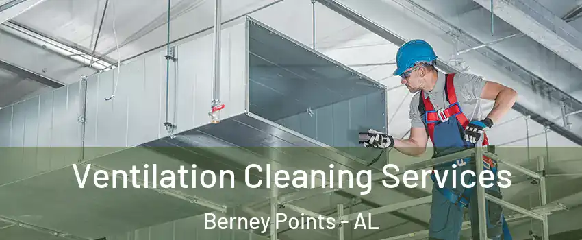 Ventilation Cleaning Services Berney Points - AL