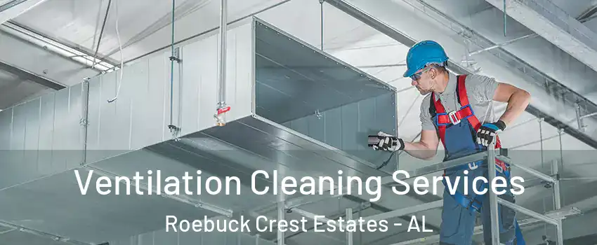 Ventilation Cleaning Services Roebuck Crest Estates - AL