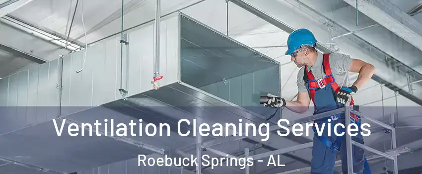 Ventilation Cleaning Services Roebuck Springs - AL