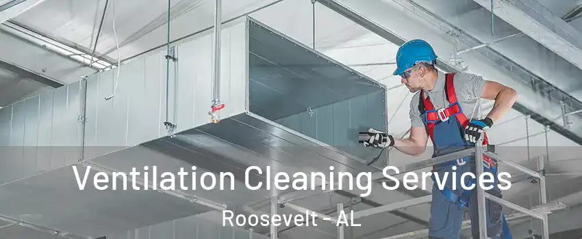 Ventilation Cleaning Services Roosevelt - AL
