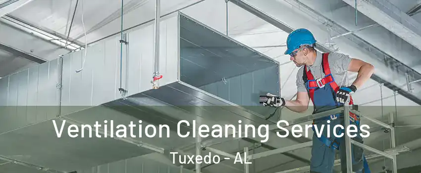 Ventilation Cleaning Services Tuxedo - AL