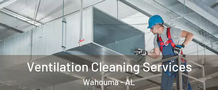 Ventilation Cleaning Services Wahouma - AL