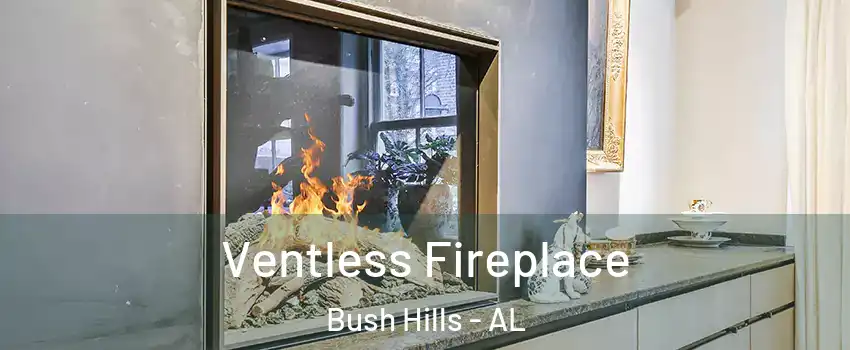 Ventless Fireplace Bush Hills - AL