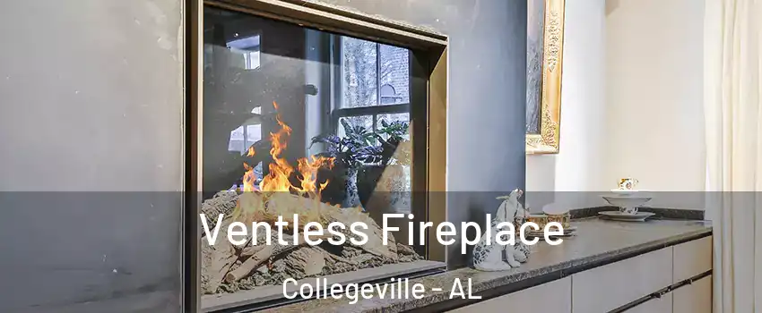Ventless Fireplace Collegeville - AL