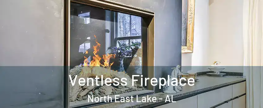 Ventless Fireplace North East Lake - AL