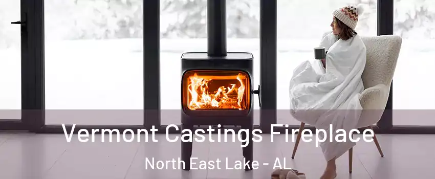 Vermont Castings Fireplace North East Lake - AL