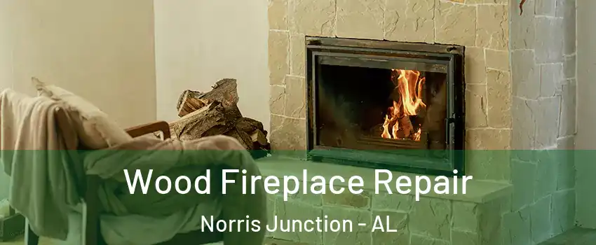 Wood Fireplace Repair Norris Junction - AL