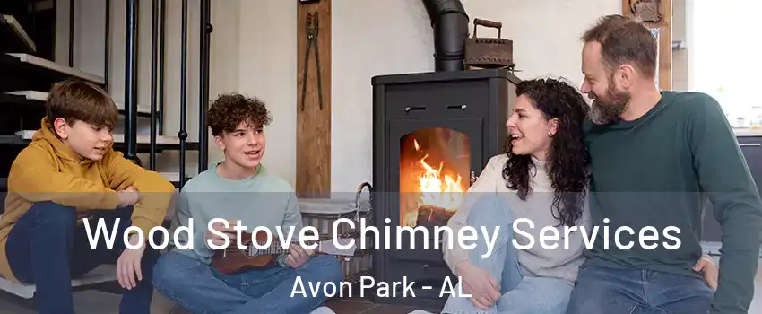 Wood Stove Chimney Services Avon Park - AL