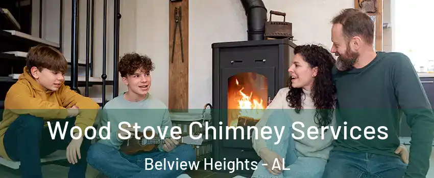 Wood Stove Chimney Services Belview Heights - AL