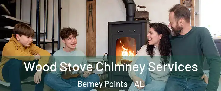 Wood Stove Chimney Services Berney Points - AL