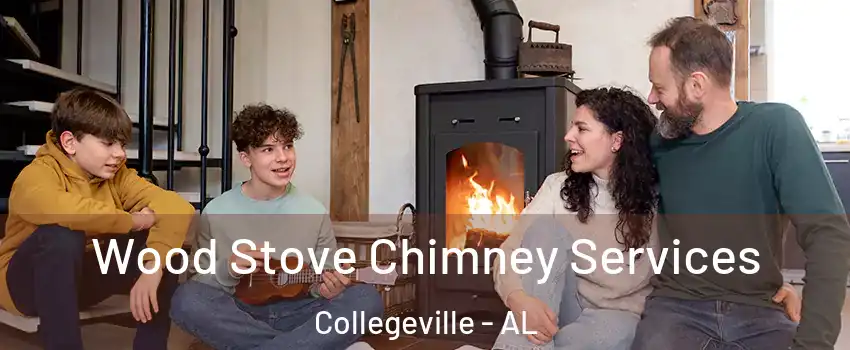 Wood Stove Chimney Services Collegeville - AL