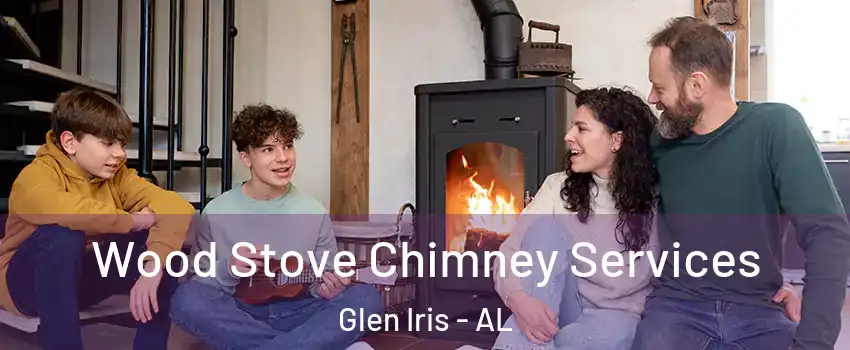 Wood Stove Chimney Services Glen Iris - AL