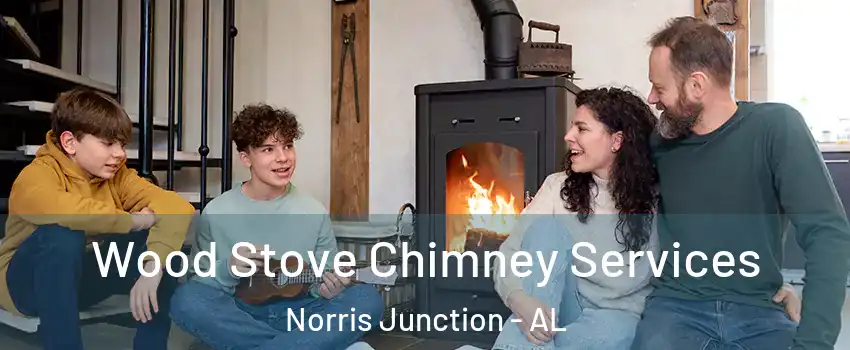 Wood Stove Chimney Services Norris Junction - AL