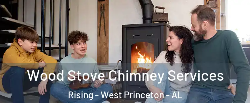 Wood Stove Chimney Services Rising - West Princeton - AL