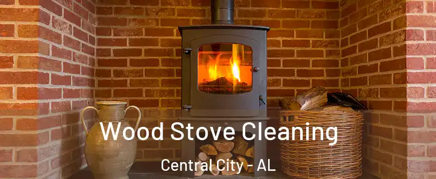 Wood Stove Cleaning Central City - AL