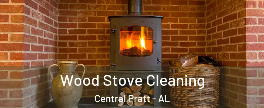Wood Stove Cleaning Central Pratt - AL