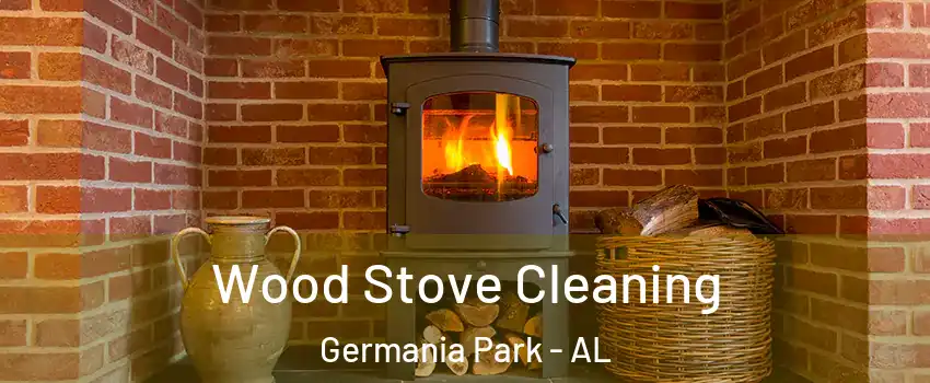 Wood Stove Cleaning Germania Park - AL