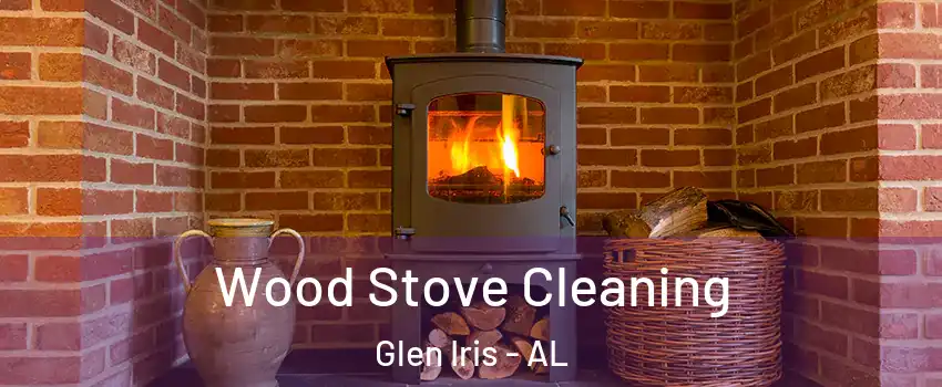 Wood Stove Cleaning Glen Iris - AL