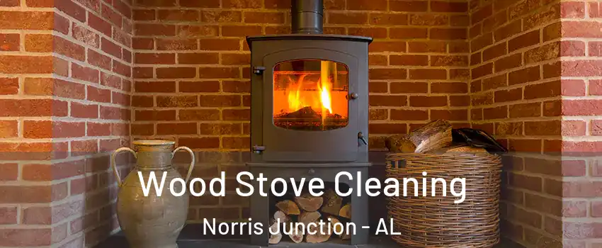 Wood Stove Cleaning Norris Junction - AL