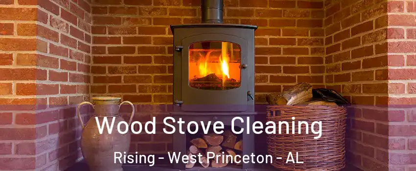 Wood Stove Cleaning Rising - West Princeton - AL
