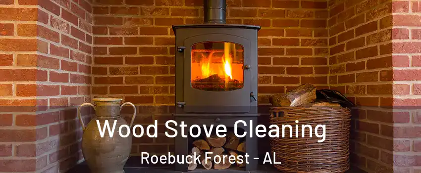 Wood Stove Cleaning Roebuck Forest - AL