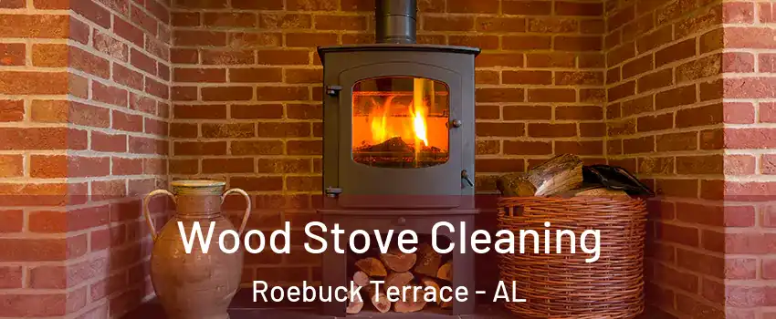 Wood Stove Cleaning Roebuck Terrace - AL