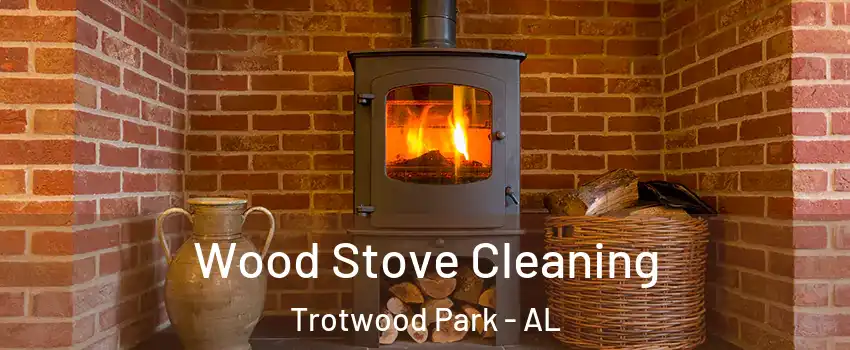 Wood Stove Cleaning Trotwood Park - AL